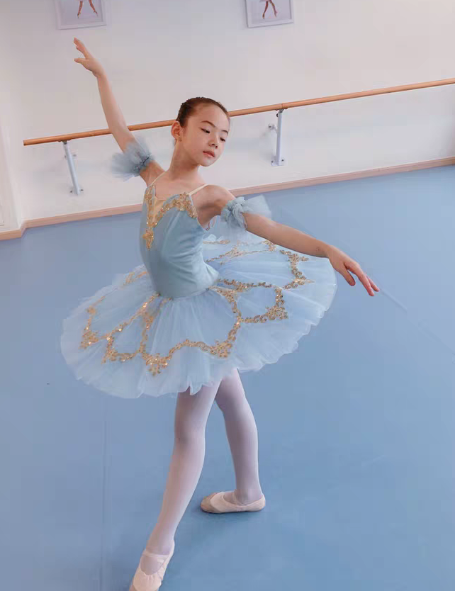 ブルー バレエ 女の子 レディース 衣装 舞台 シンデレラ ドレス Princess Girl Cinderella Ballet Dance Woman Antoinette