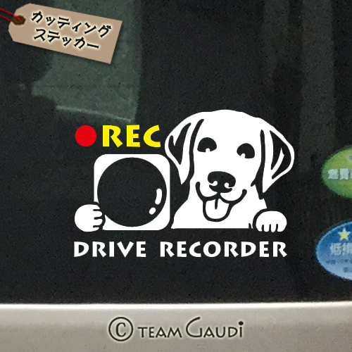 ドラレコ ステッカー ラブラドールレトリバー デザインc 犬 ミックス犬 ドライブレコーダー録画中 煽り運転防止 シール 工房 Team Gaudi