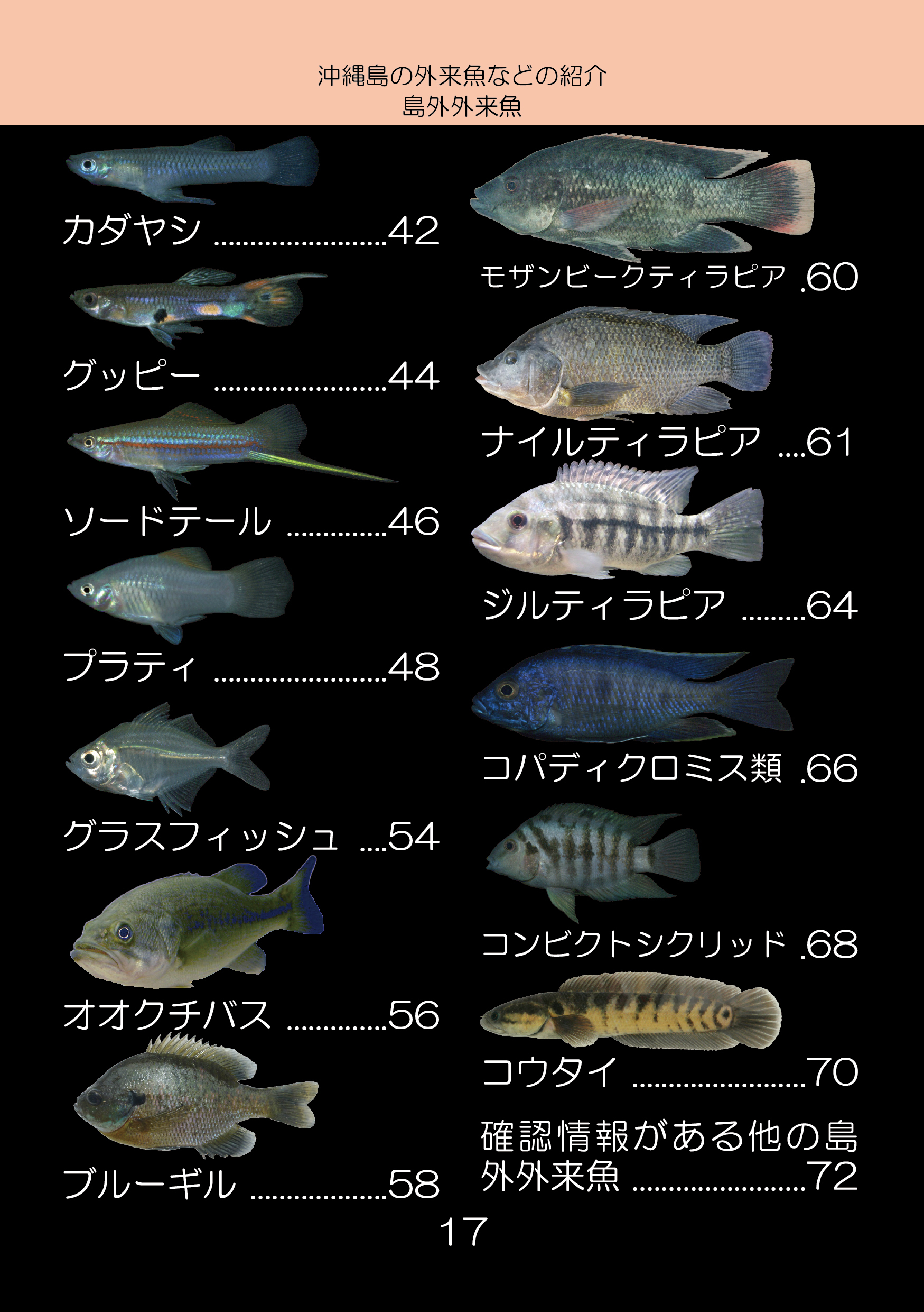 新版紙書籍 沖縄島の外来魚ガイド第三版 しまづ外来魚研究所オンラインショップ