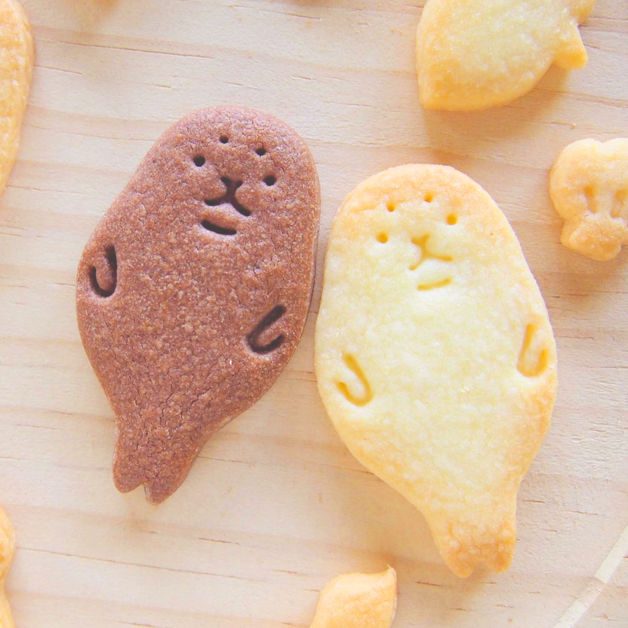 アザラシさんのクッキー型 お菓子な水族館 うさぎのおかしやさん