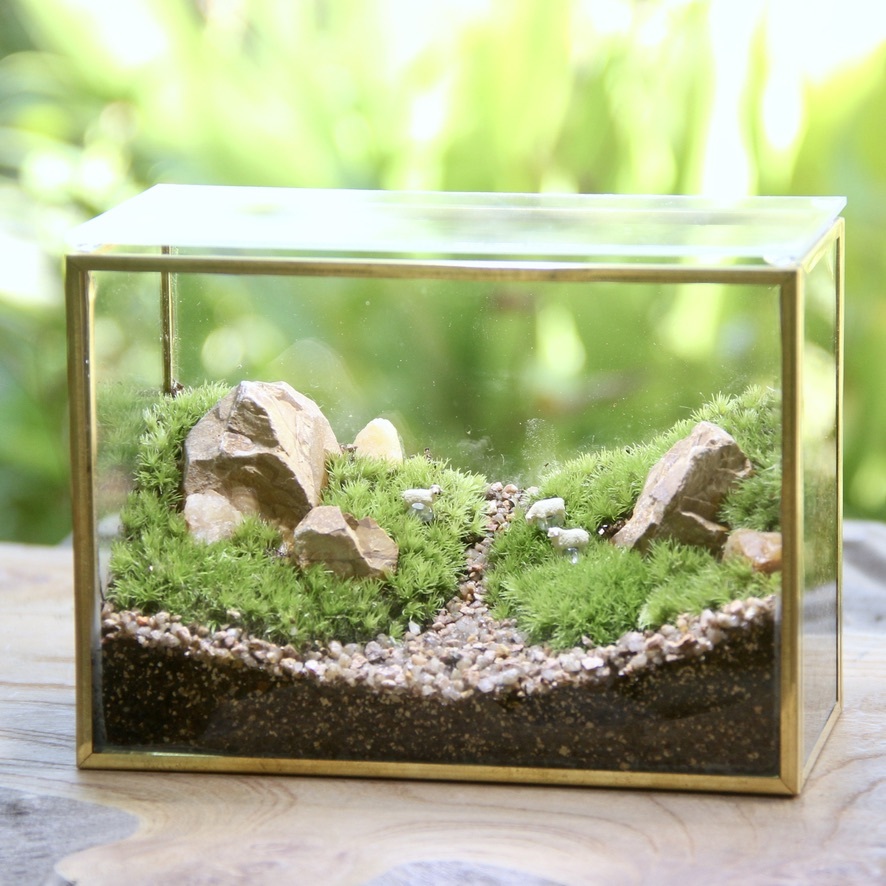 メタルフレームのテラリウム 羊3匹 苔テラリウム コケリウム 苔むすび
