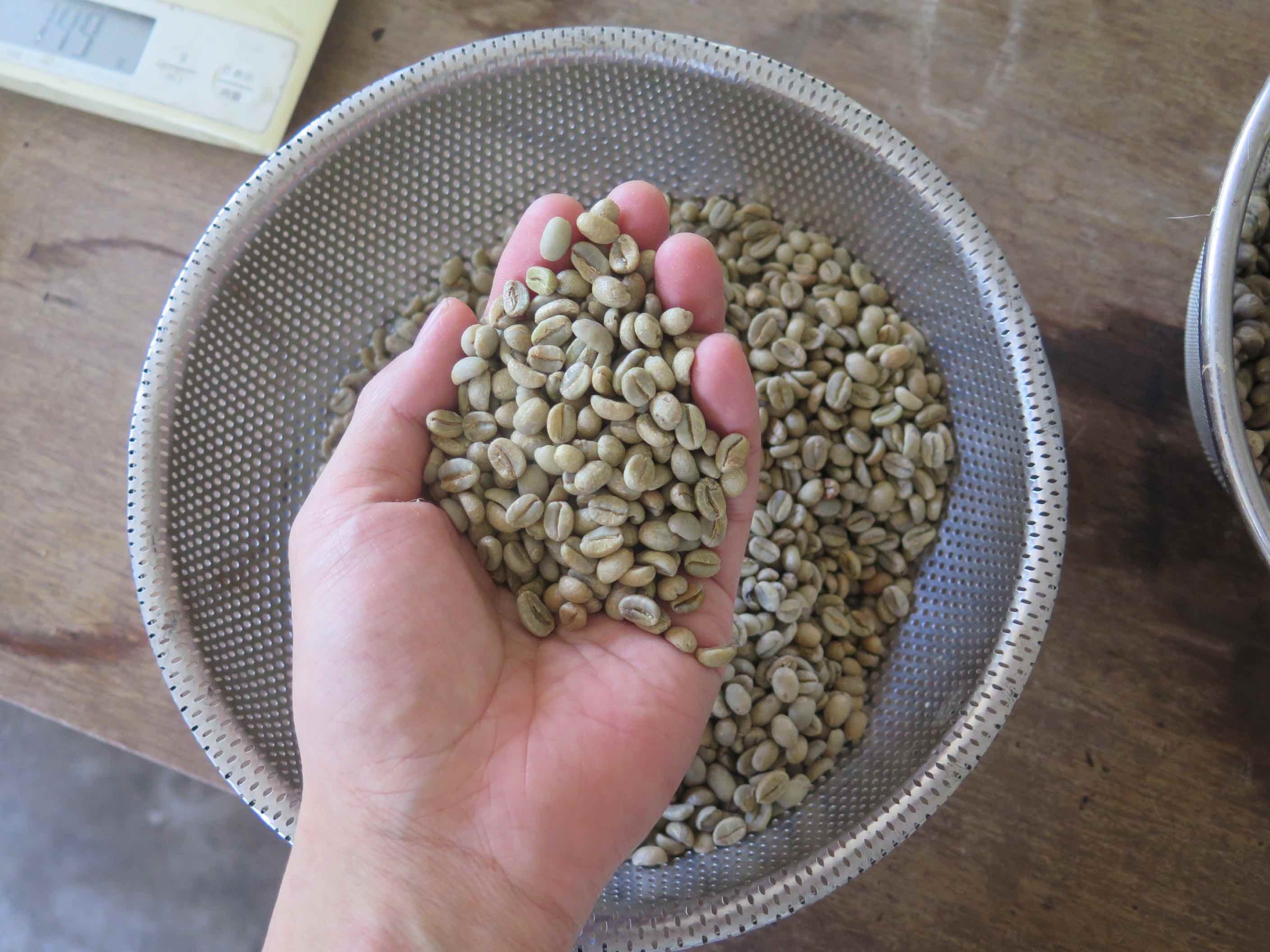 土鍋焙煎 水出しコーヒー ブレンド - 画像3