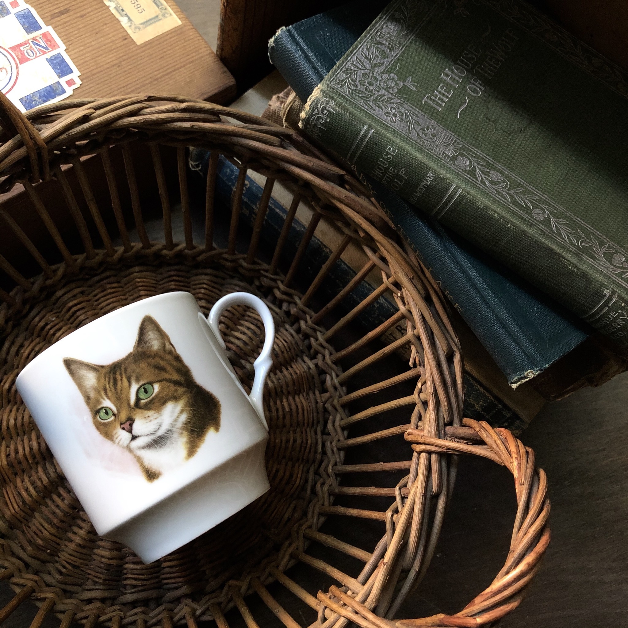 Vintage Cat Mug Made In Germany シューマン アルツベルグ 猫マグカップ ドイツ製 Sugar Spun Sister Vintage Used