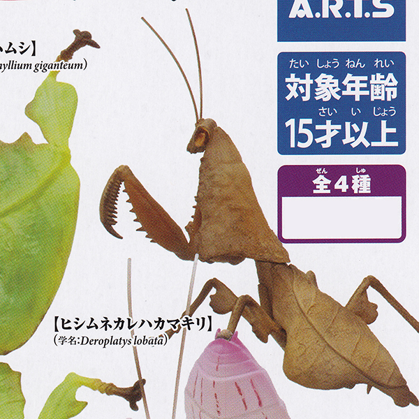 ヒシムネカレハカマキリ 原色図鑑シリーズ 原色擬態昆虫 精密彩色 リアル 虫 カマキリ グッズ フィギュア ガチャガチャ タカラトミーアーツ お宝市場ｂａｓｅ店 フィギュア ガチャガチャ ガチャポン 食玩 プライズ アニメ グッズ 模型 ミニチュア