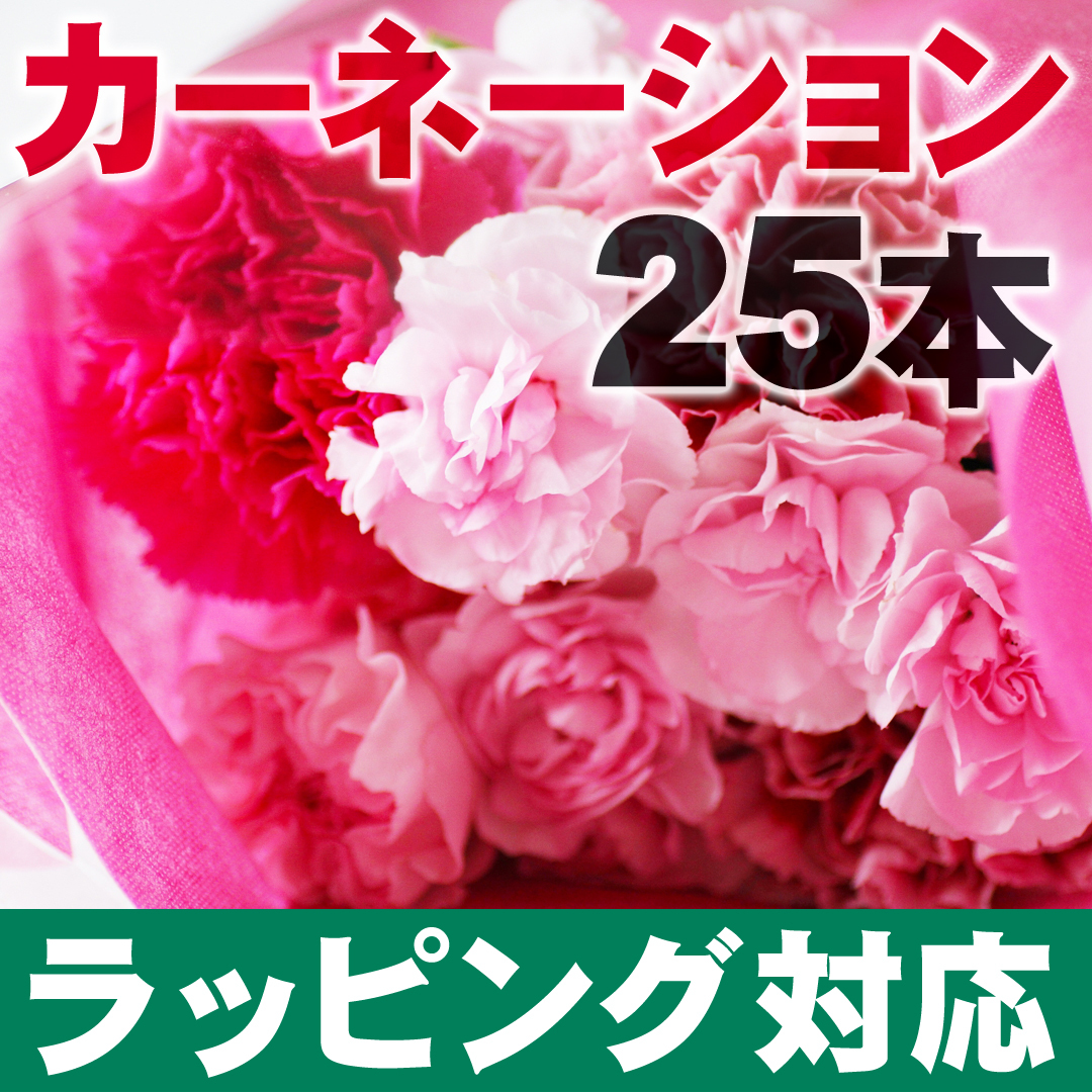 フジテレビ ライブnewsイット 紹介 母の日に カーネーション 25本 ラッピング 可憐 華やか ボリューム フラワーロス支援 スマイルフラワープロジェクト