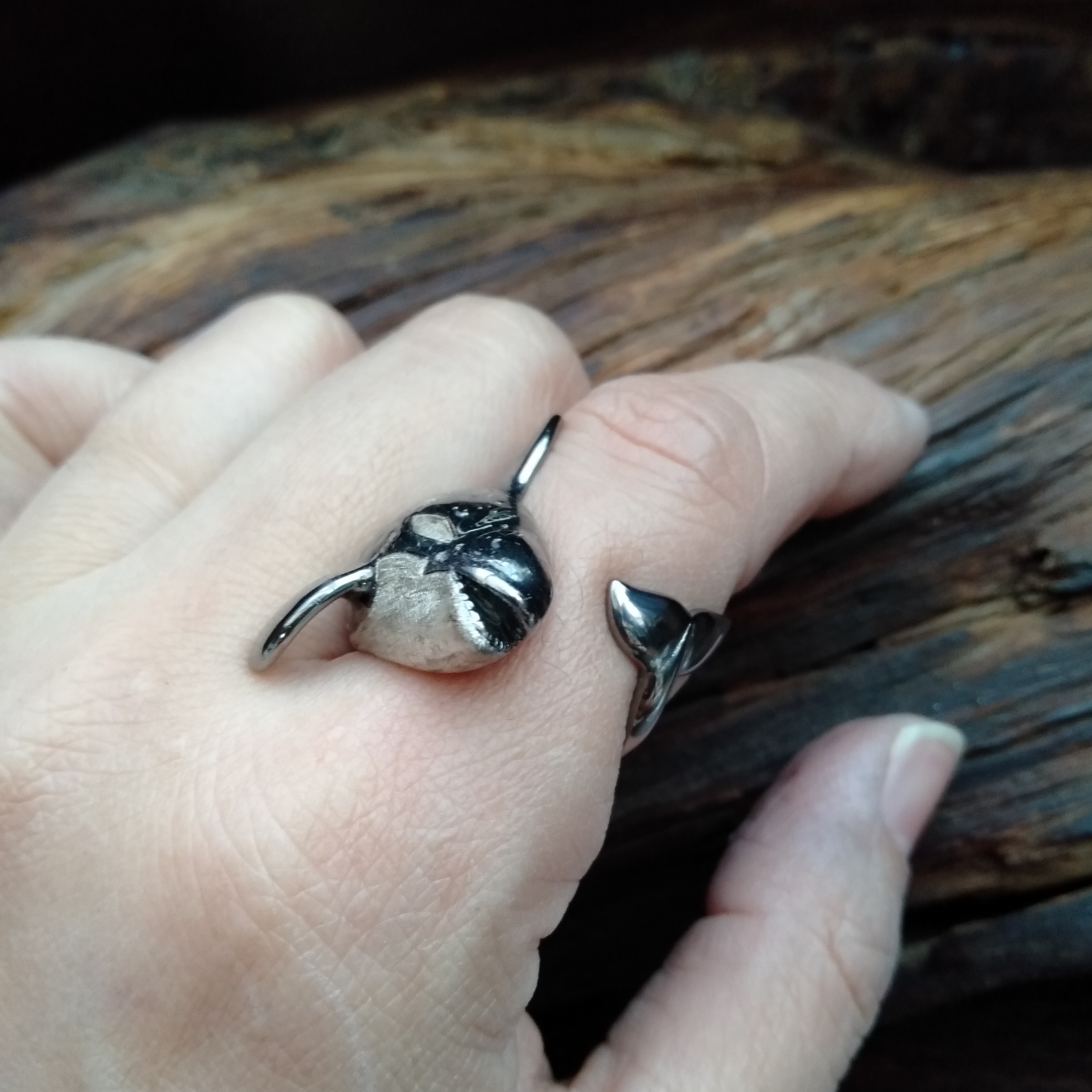 銀河シャチリング オス Flowstar