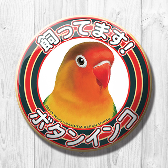 飼ってます缶バッジ ルリゴシボタンインコ Tomoyamashita Design