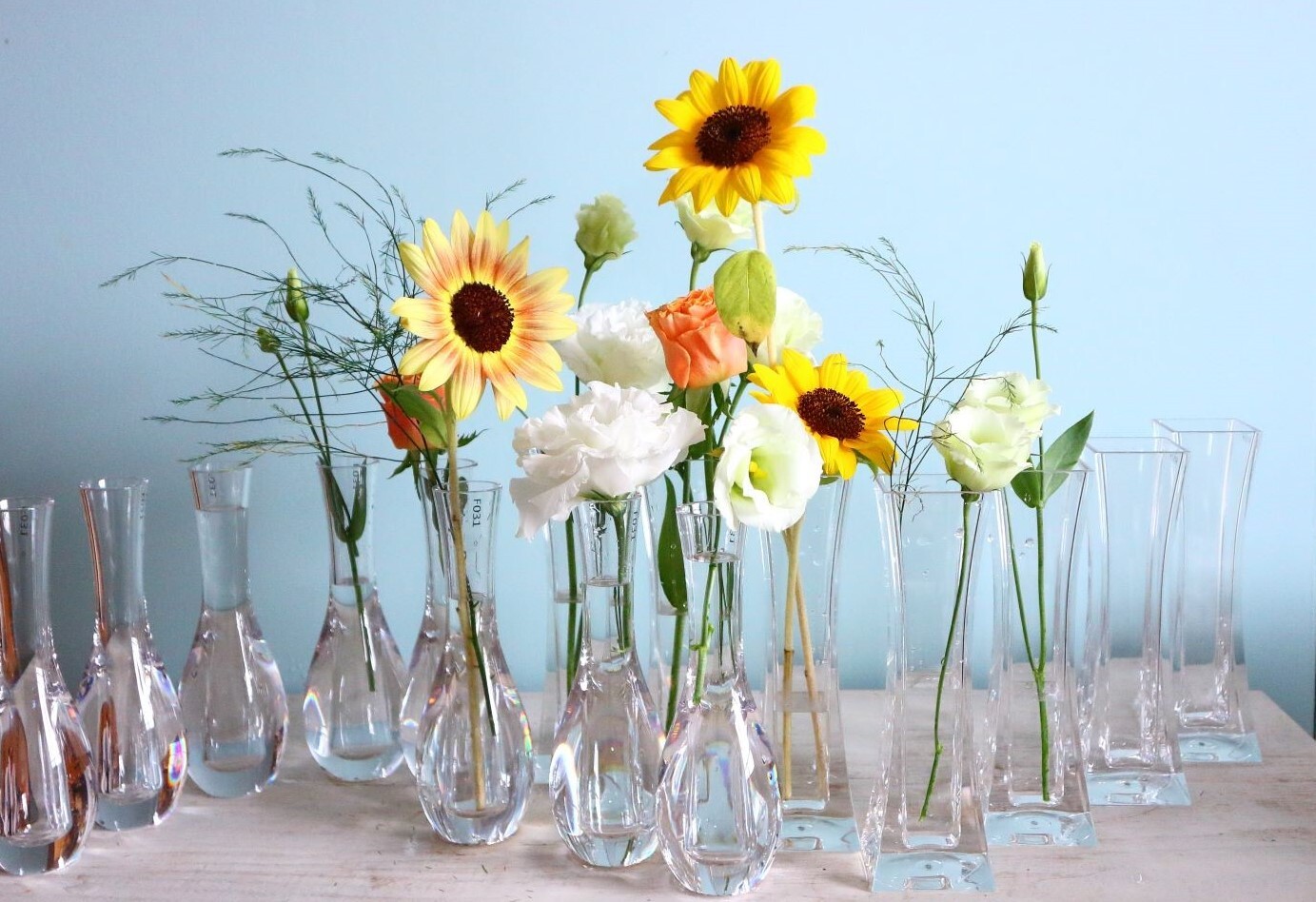 割れない花瓶 一輪挿し Tokbotanic