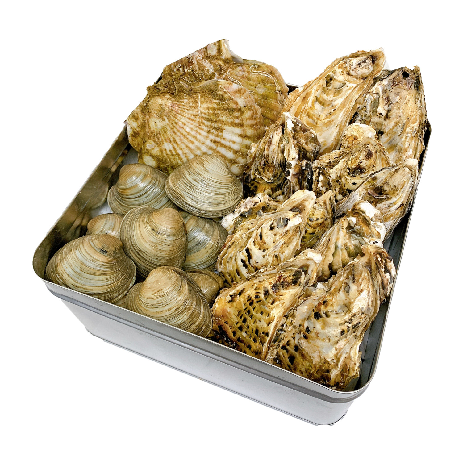 大人気 海鮮3種ガンガン焼きセット 缶入り 北本の貝や オンラインショップ 公式通販