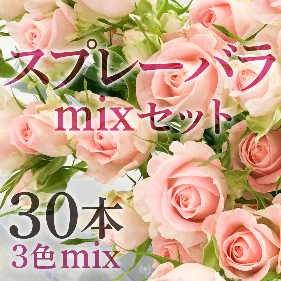 スプレーバラ 30本 3色mixセット 可憐なスプレー咲き ローズ フラワーロス支援 スマイルフラワープロジェクト