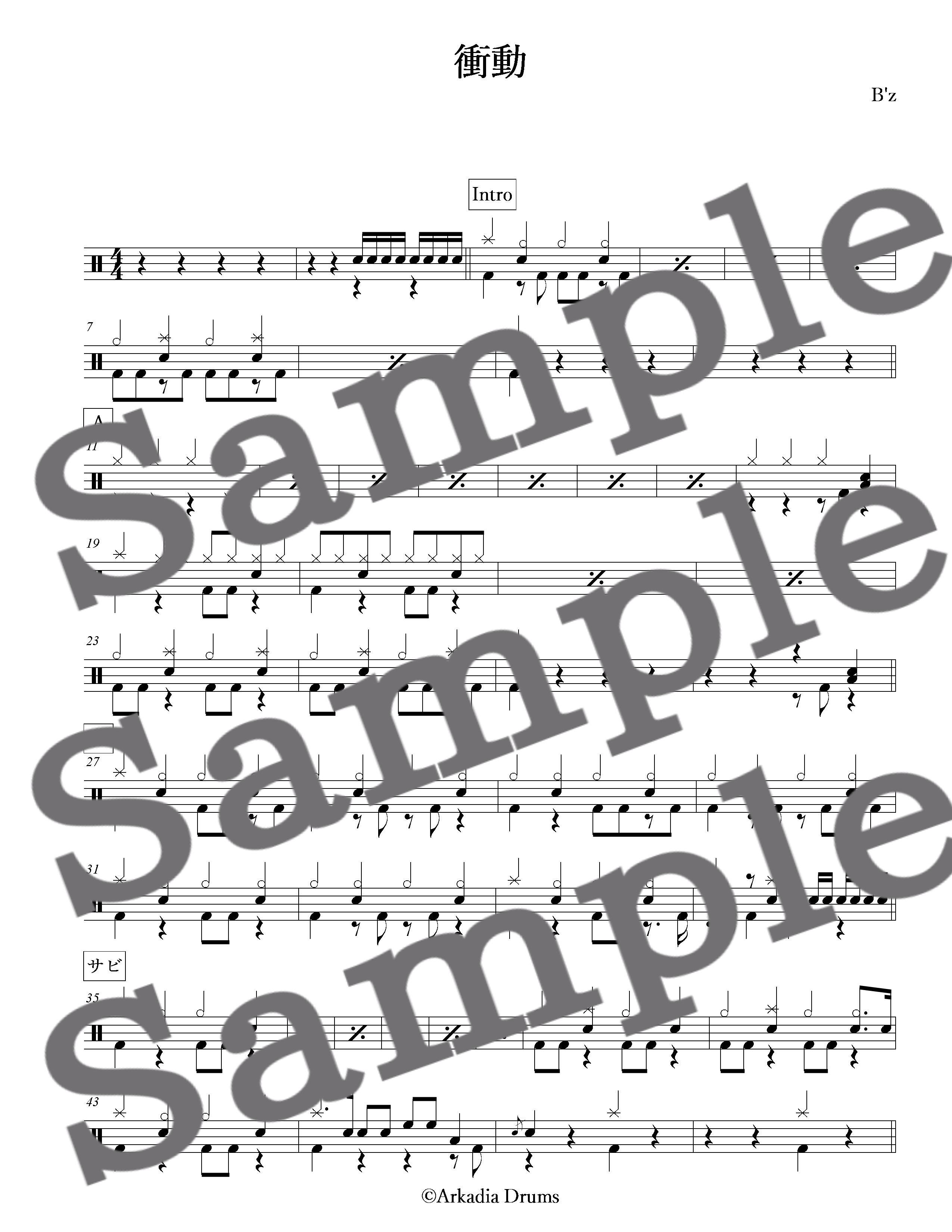 衝動 B Z Arkadia Drums