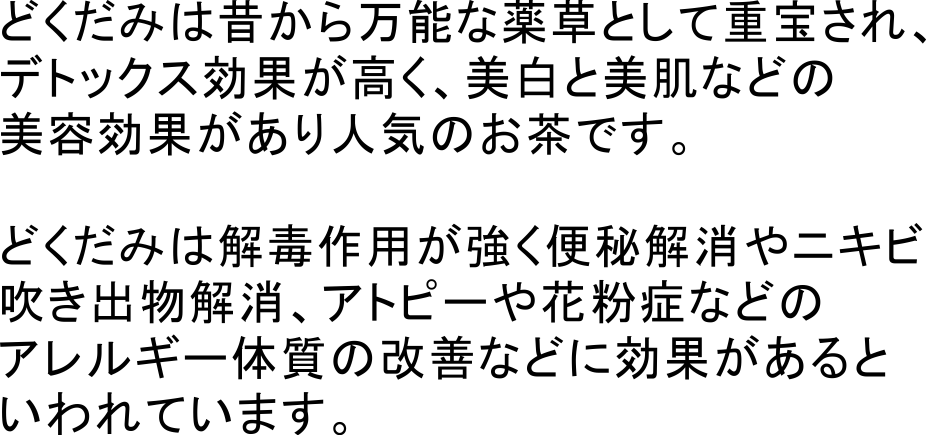 どくだみ茶 ティーバッグ 白井製茶園