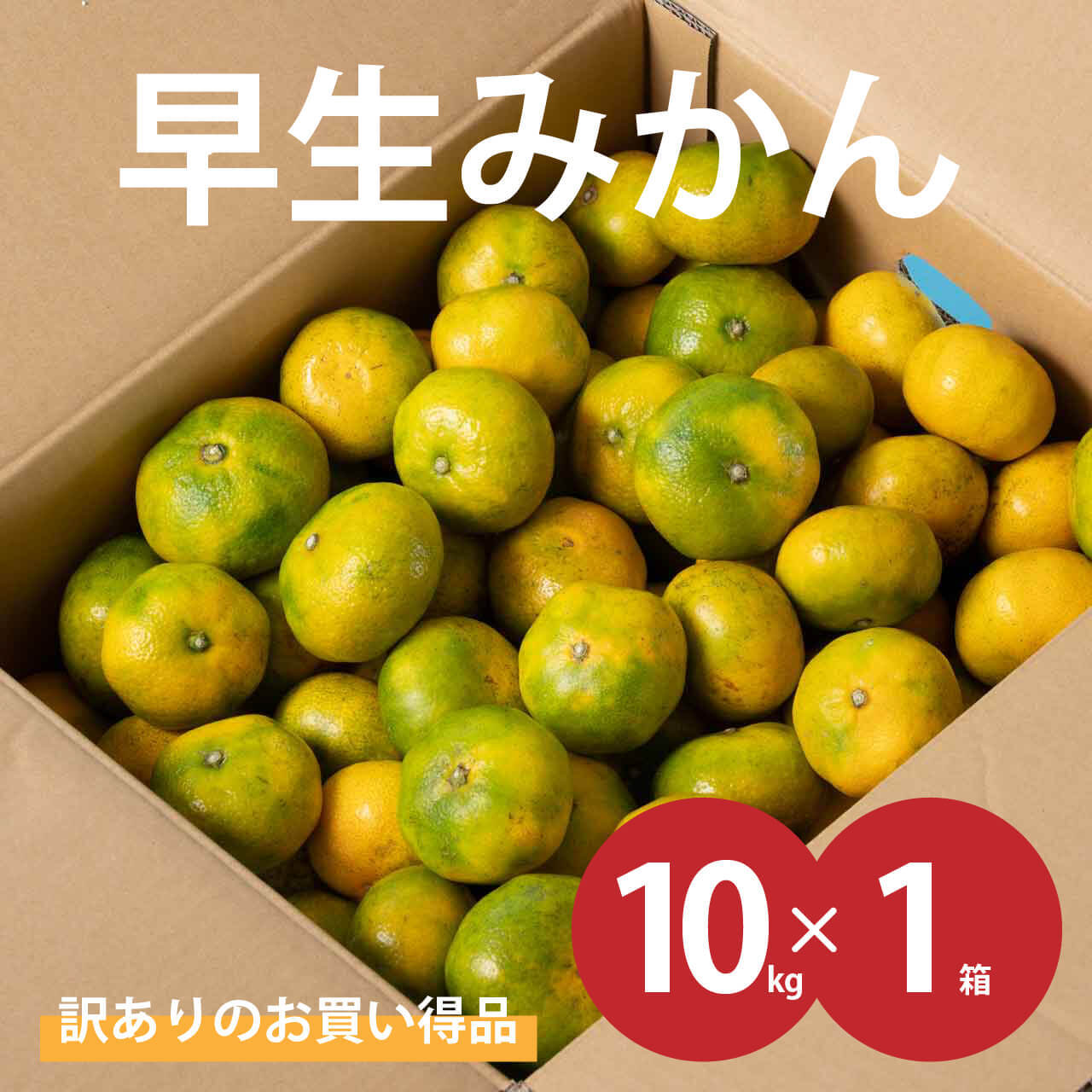 早生みかん 訳ありのお買い得品 10kg 1箱 Marchais