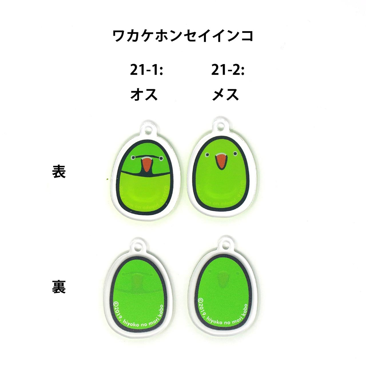 ワカケホンセイインコ 記名ができるアクリルキーホルダー ひよこのもり工房 Webshop