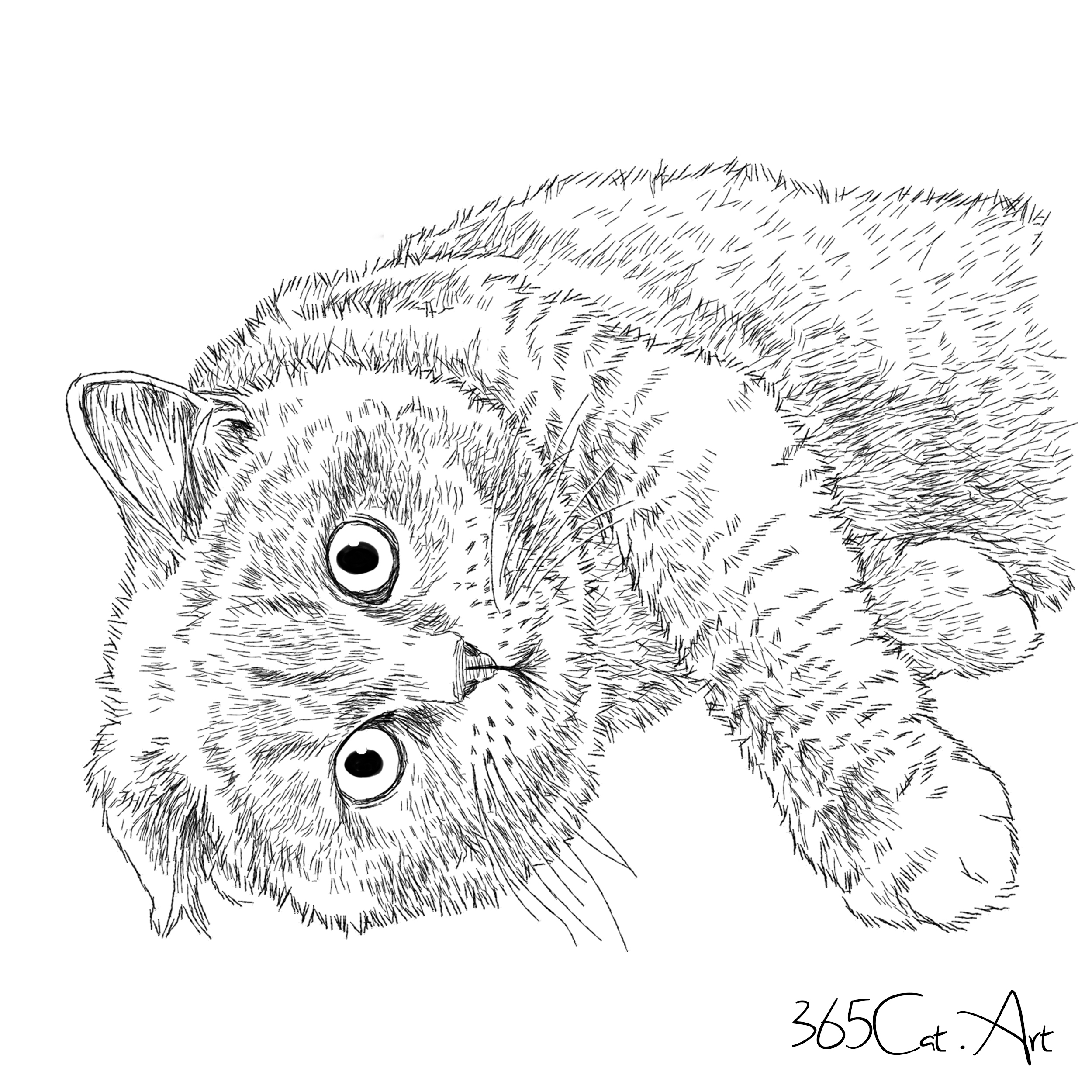 猫の手描きイラスト 似顔絵 白黒 作成 上半身 動物 人間可 猫雑貨 グッズ通販 猫や動物イラスト 似顔絵作成 365cat Art