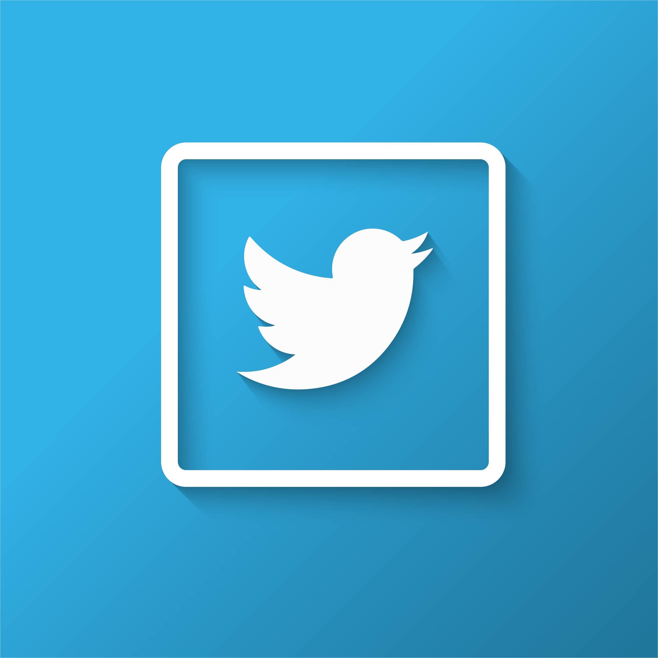 Twitterの日本人フォロワー100人増やします ツイッターのフォロワーもしくはいいねもしくはrtの増加 Snsマーケティング ココナラ