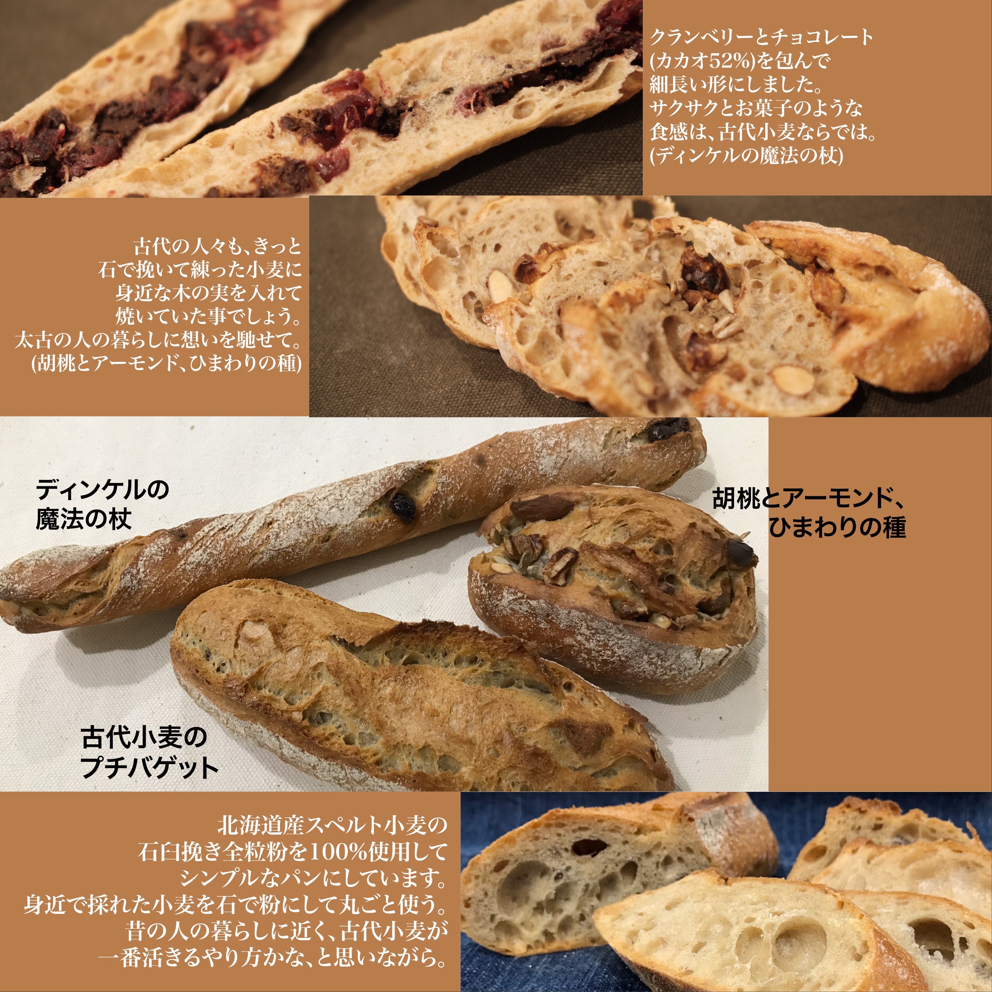 古代小麦のパンセット 1950円 スペルト小麦 Kanzan