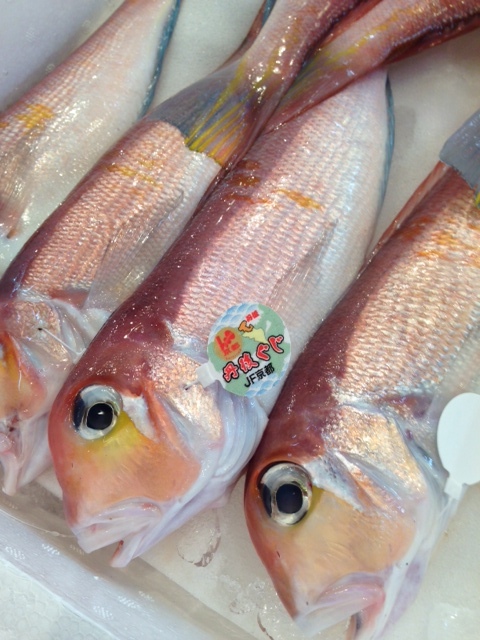 最高級アマダイ 甘鯛 生 超特大サイズ 豊洲直送 超特大約1kg前後 1尾あたり 日本海 太平洋産 京都 鳥取 山口 島根他 ぐじ ギフト 鮮魚 刺身 アマダイ１k 冷蔵 Okawari 豊洲直送の高級海産物をお届け