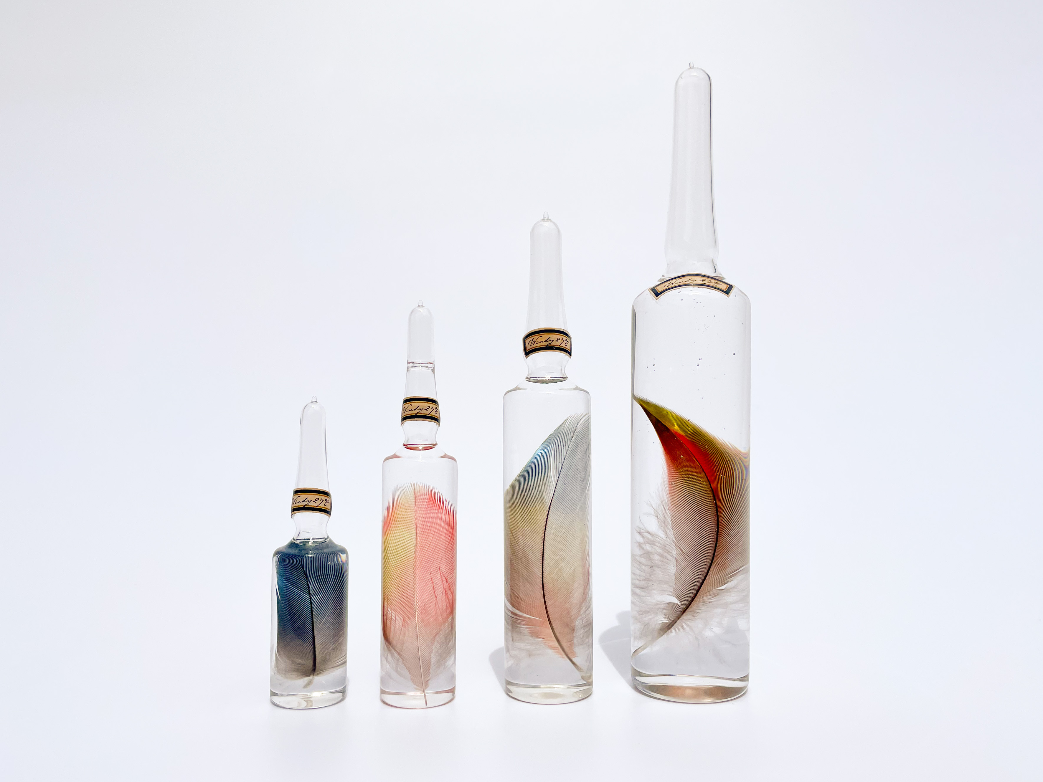 風の標本 S ルリコンゴウインコの羽 Atelier De Miomori アトリエ ドゥ ミオモリ Online Store