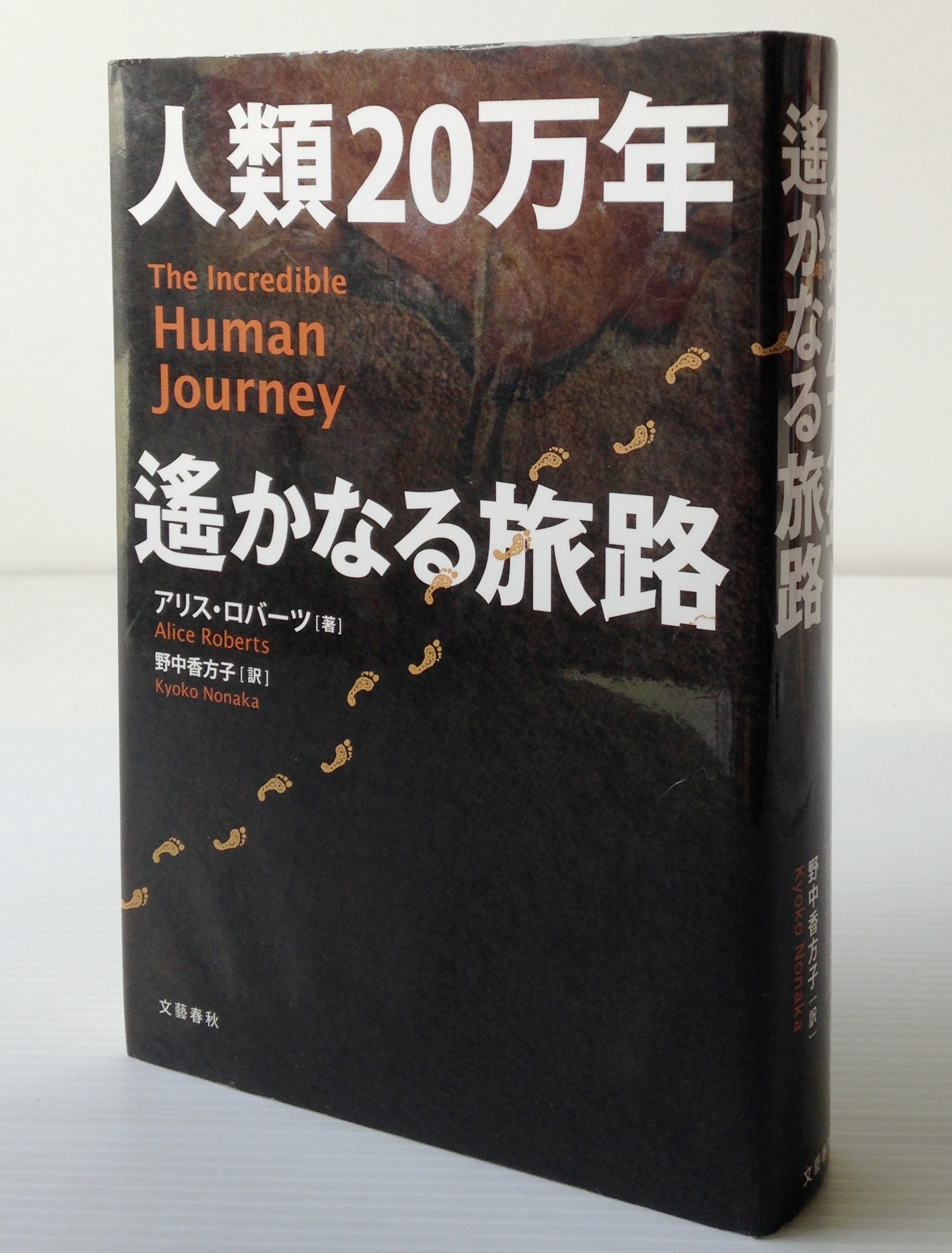 人類万年遙かなる旅路 アリス ロバーツ 著 野中香方子 訳 文芸春秋 古書店 リブロスムンド Librosmundo