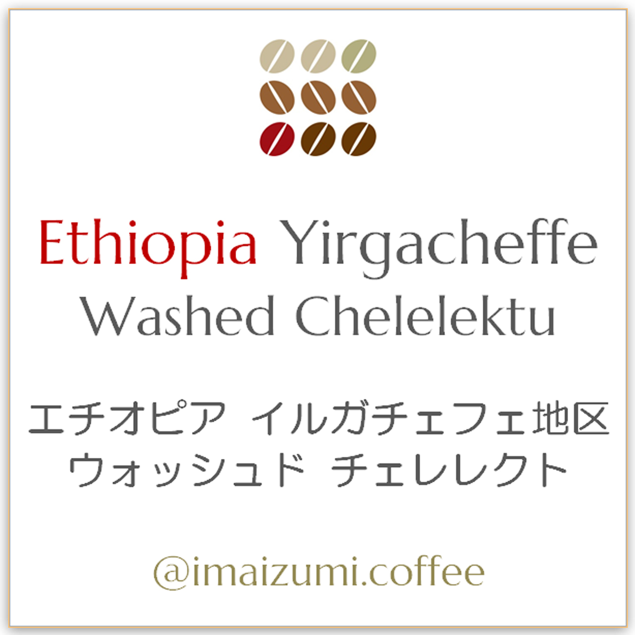 送料込 エチオピア イルガチェフェ地区 ウォッシュド チェレレクト Ethiopia Yirgacheffe Washed Chelelektu 300g 100g 3 今和泉珈琲焙煎 Imaizumi Coffee スペシャルティコーヒー 自家焙煎