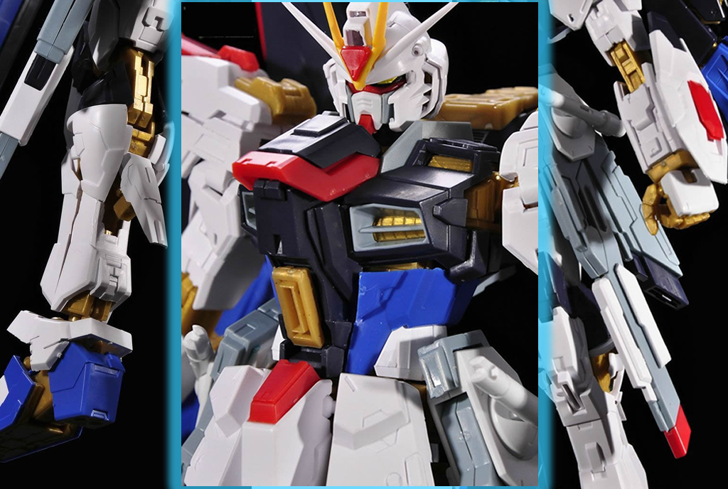 レア 廃盤 Mg 1 100 ストライクフリーダムガンダム コンバージョンプラキット ガンプライク