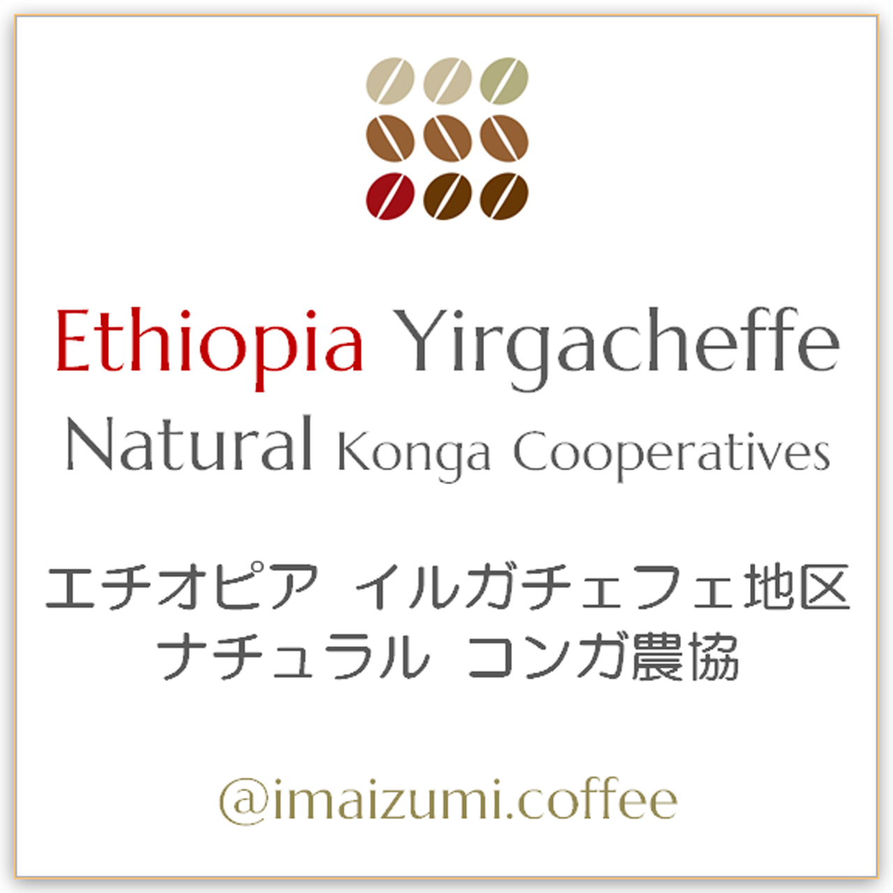 送料込 エチオピア イルガチェフェ地区 ナチュラル コンガ農協 Ethiopia Yirgacheffe Natural Konga Cooperatives 300g 100g 3 今和泉珈琲焙煎 Imaizumi Coffee スペシャルティコーヒー 自家焙煎