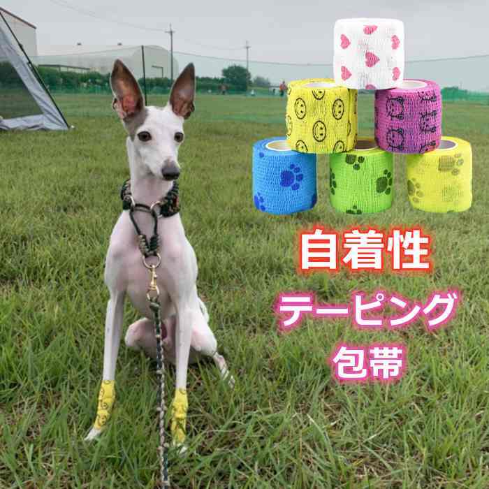 Km511g ペットフレックス 粘着包帯 自着性伸縮包帯 弾力包帯 バンテージ ペット 犬 猫 伸縮 生活防水 Dearkm フレンチブルドック孔明
