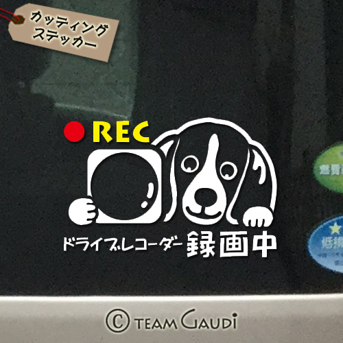 ドラレコ ステッカー ビーグル 犬 デザインｂ ミックス犬 ドライブレコーダー録画中 煽り運転防止 シール 工房 Team Gaudi