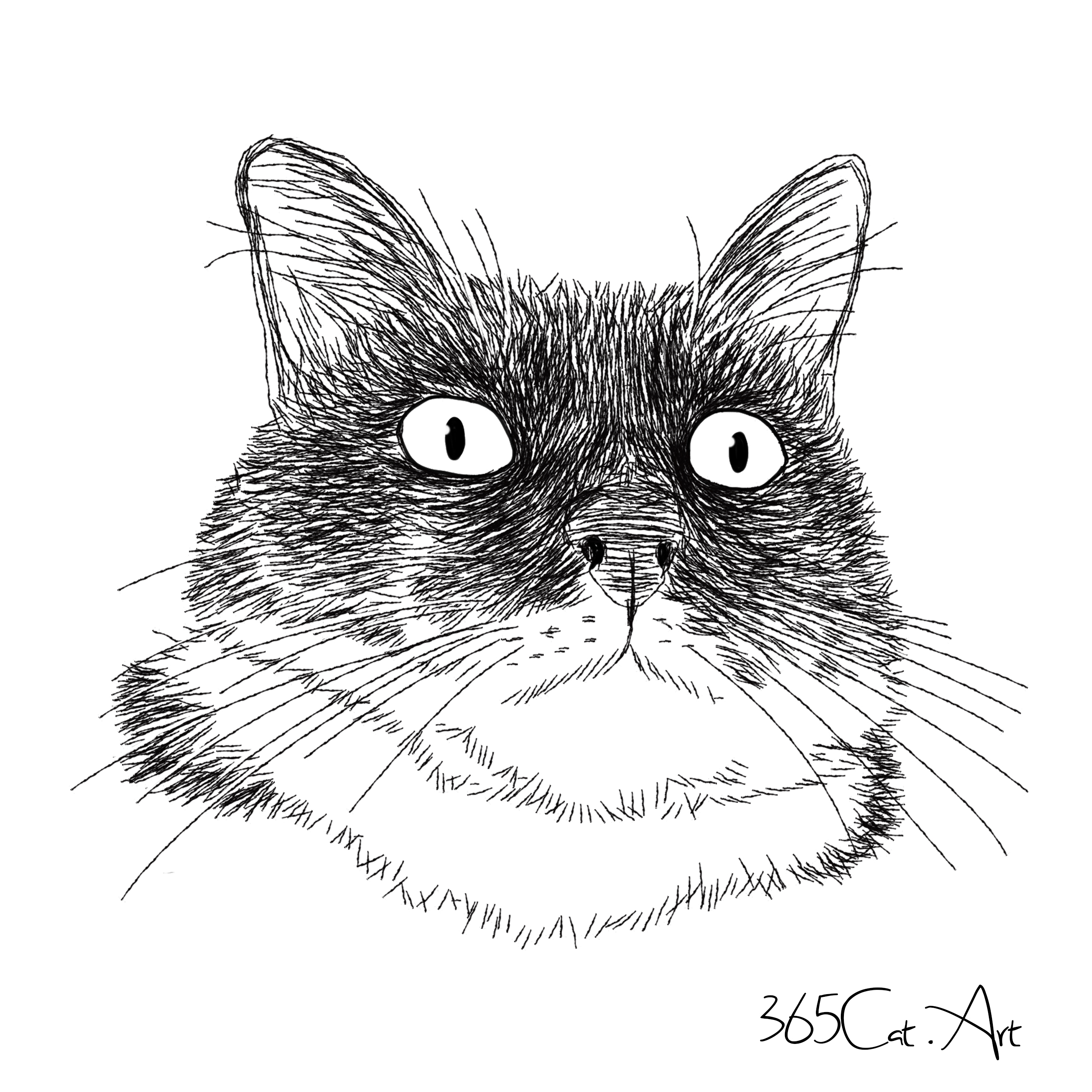 猫の手描きイラスト 似顔絵 白黒 作成 顔のみ 動物 人間可 猫雑貨 グッズ通販 猫や動物イラスト 似顔絵作成 365cat Art