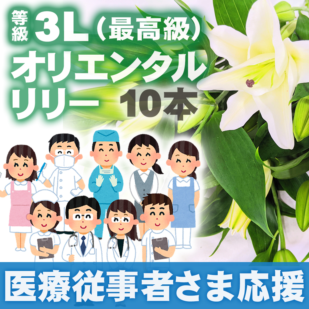 オリエンタルリリー ゆり 等級3l 10本 国産ユリで医療従事者さま応援 コロナ禍支援 スマイルフラワープロジェクト