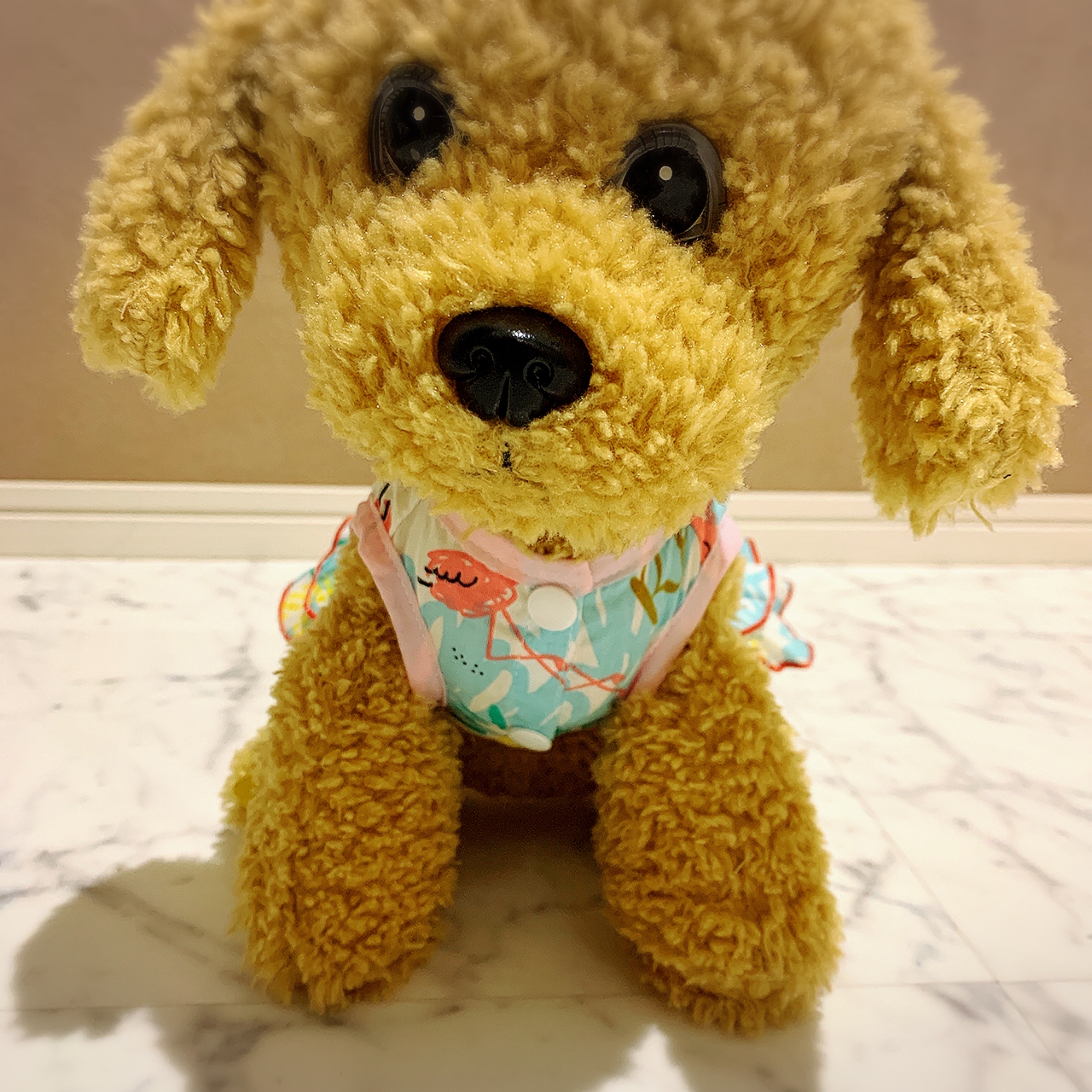 犬服 猫服 ペット服 コットンワンピース フラミンゴブルー Xxs Xl Ronkichimaru ロンキチマル かわいい犬服 猫服 ペット服