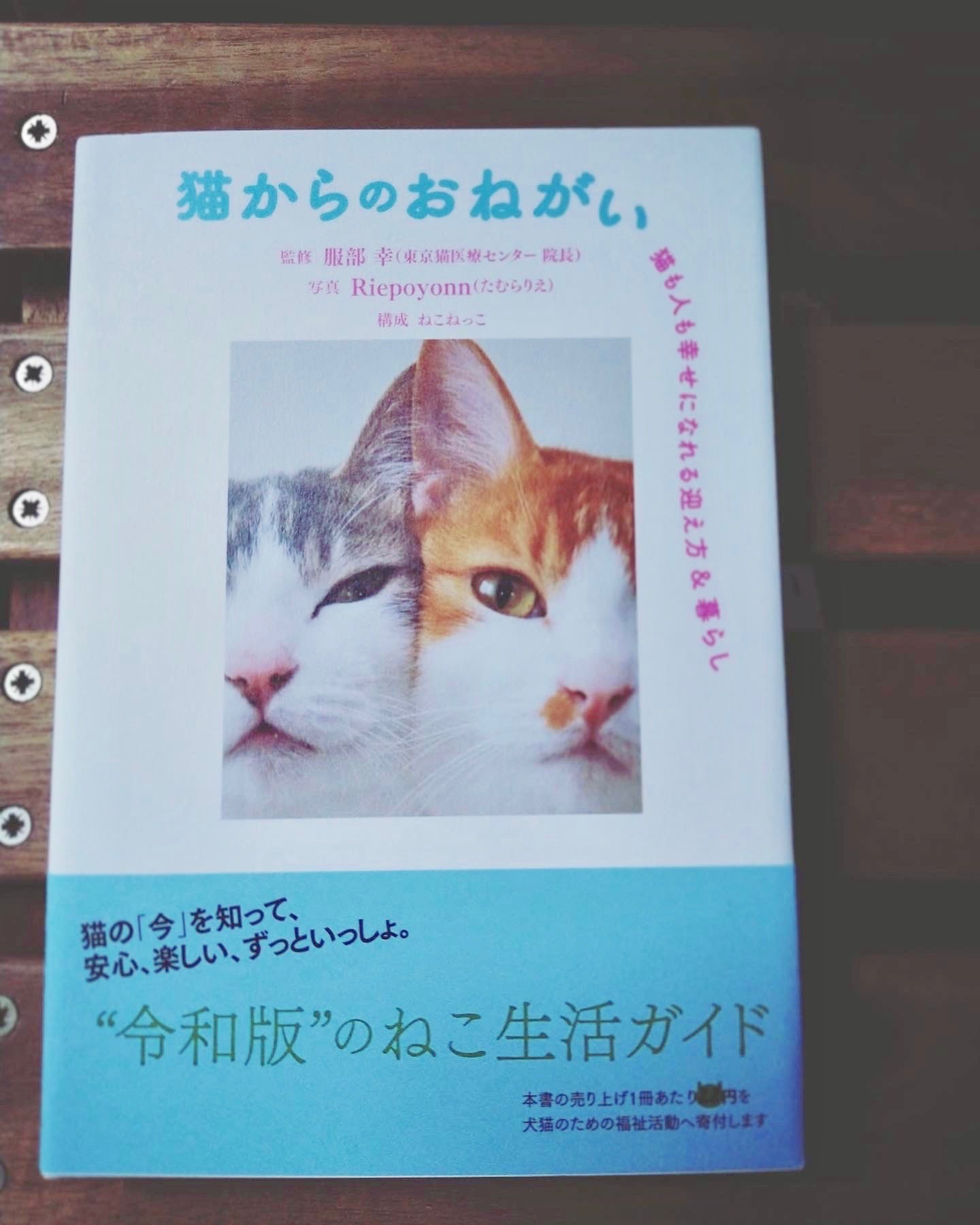 猫からのおねがい 猫も人も幸せになれる迎え方 暮らし 監修 服部 幸 東京猫医療センター院長 構成 ねこねっこ Magic Fun Fair