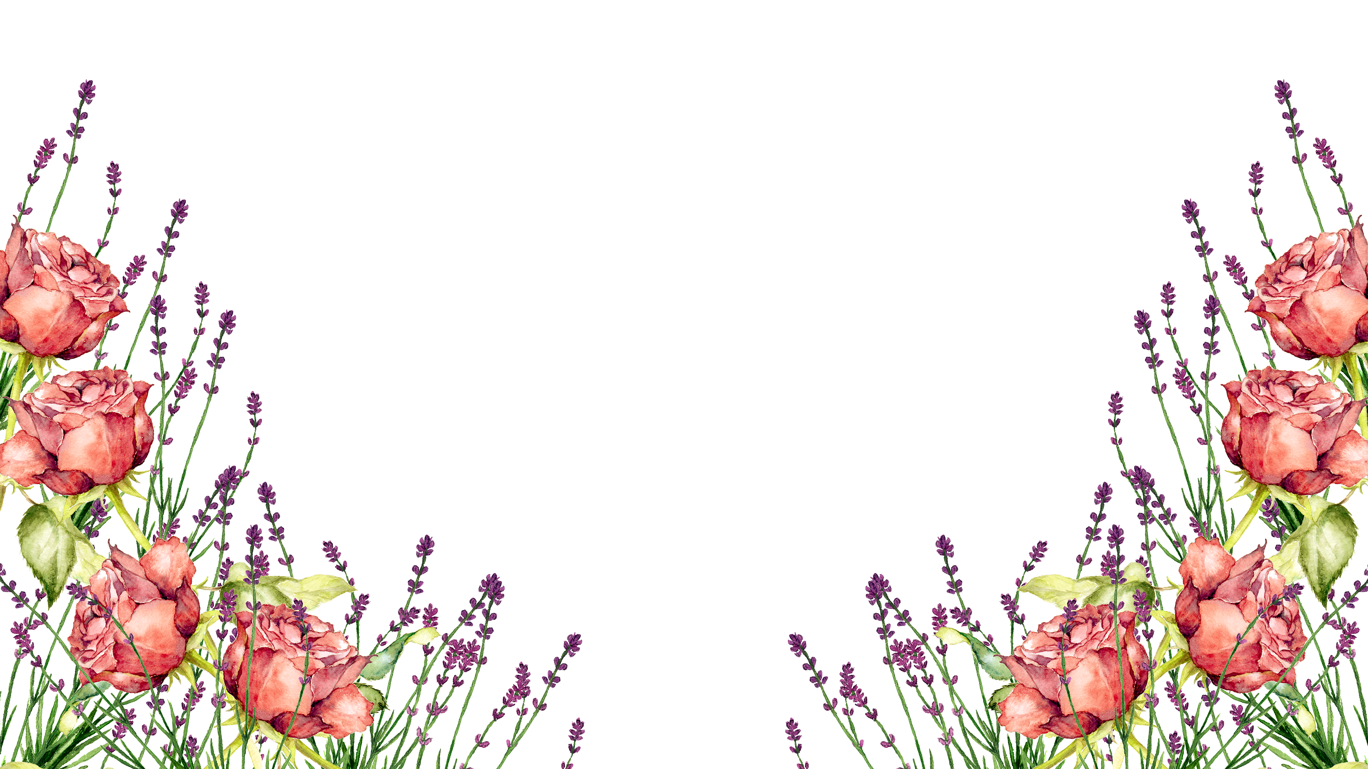 薔薇とラベンダー フレーム1 Png 背景透過 イラスト素材屋