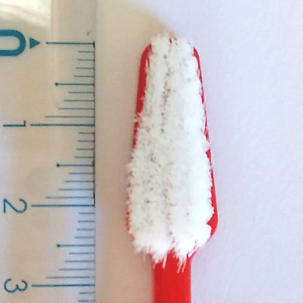 歯ブラシ 人間用ですが ワンちゃんにもオススメ 社福 日本介助犬協会チャリティグッズショップ