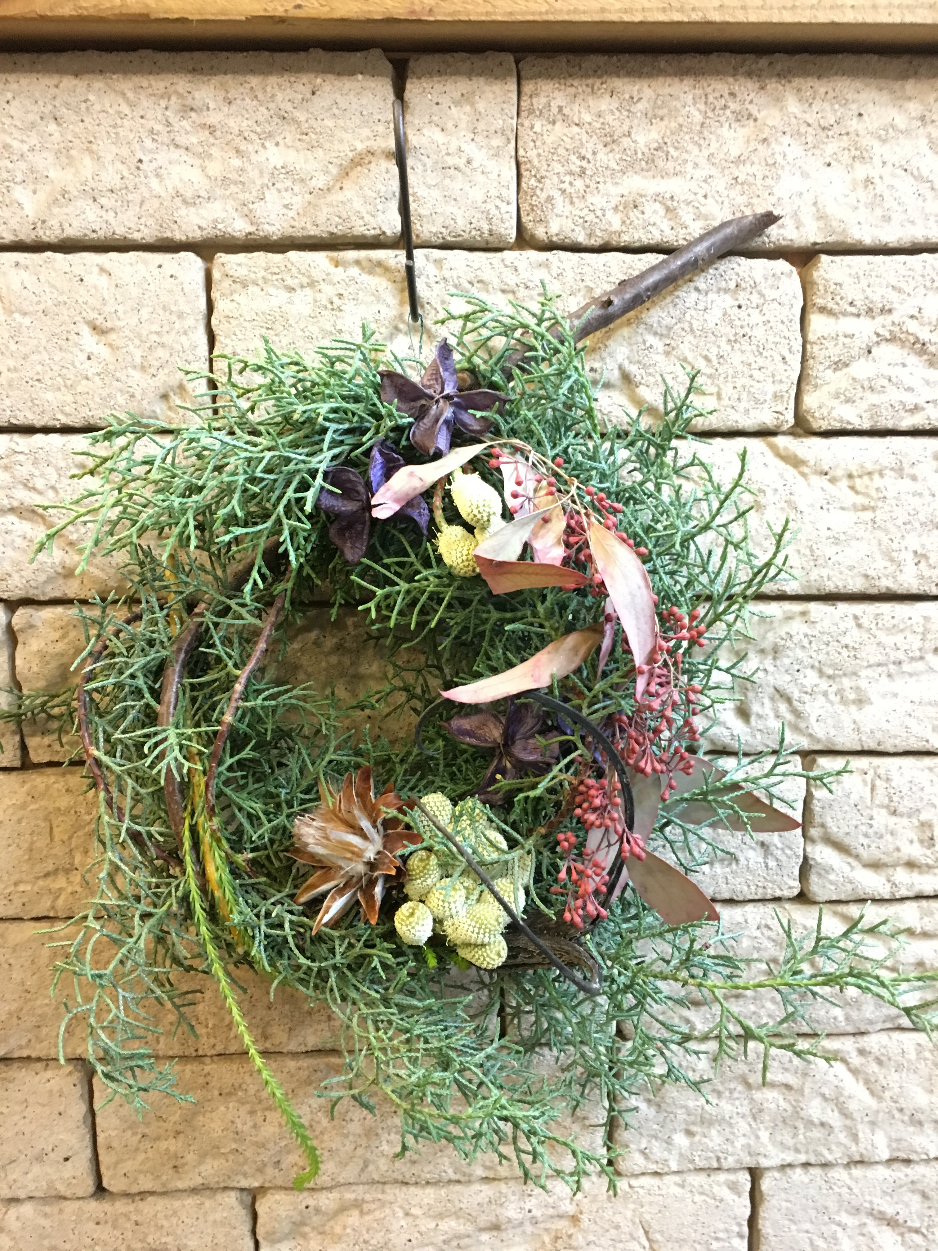 ブルーアイスリース ツノゴマ ハルカゼフラワー