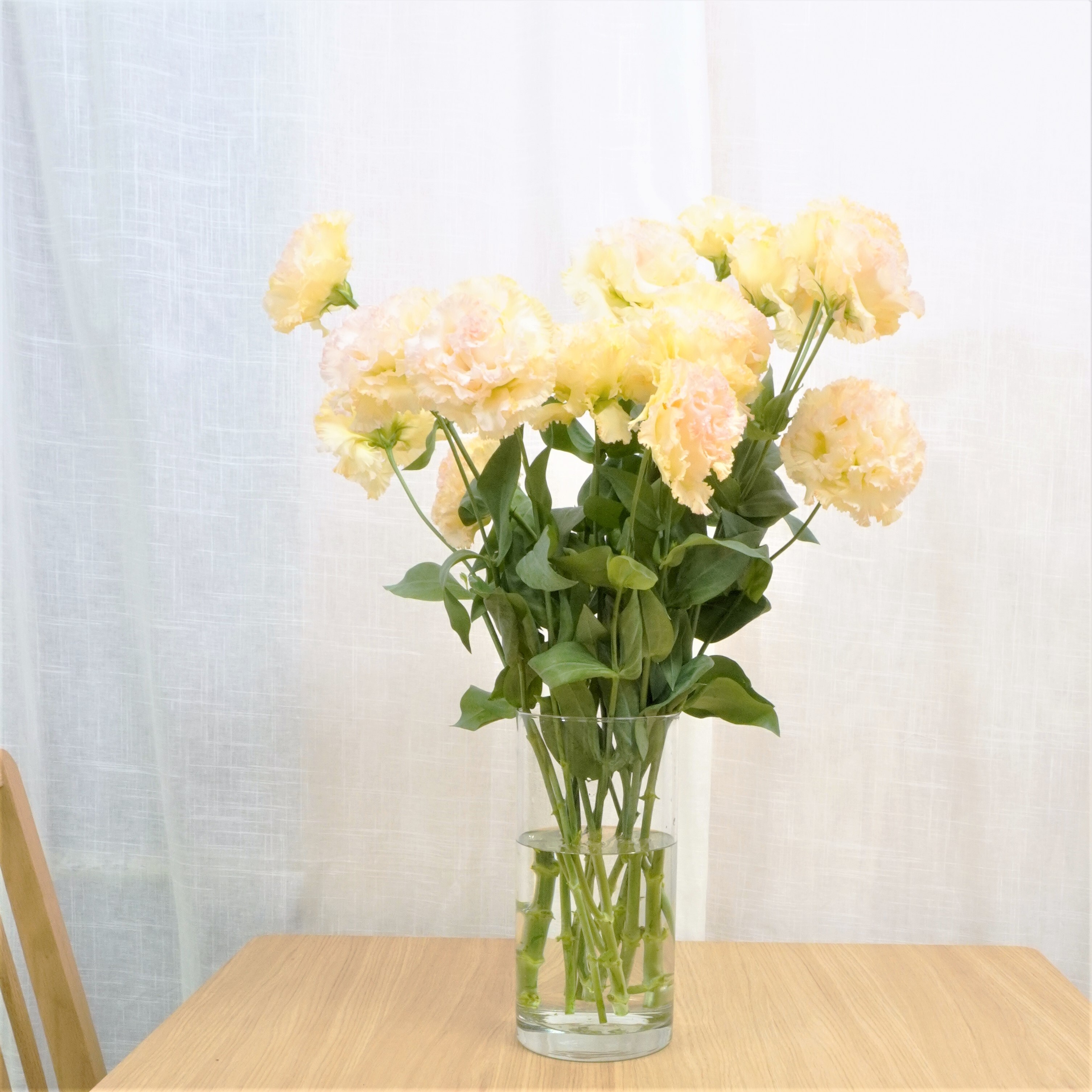 トルコキキョウ Nfマンゴー 送料込み よいはな Yoihana 最高品質のお花をお届けするネット通販