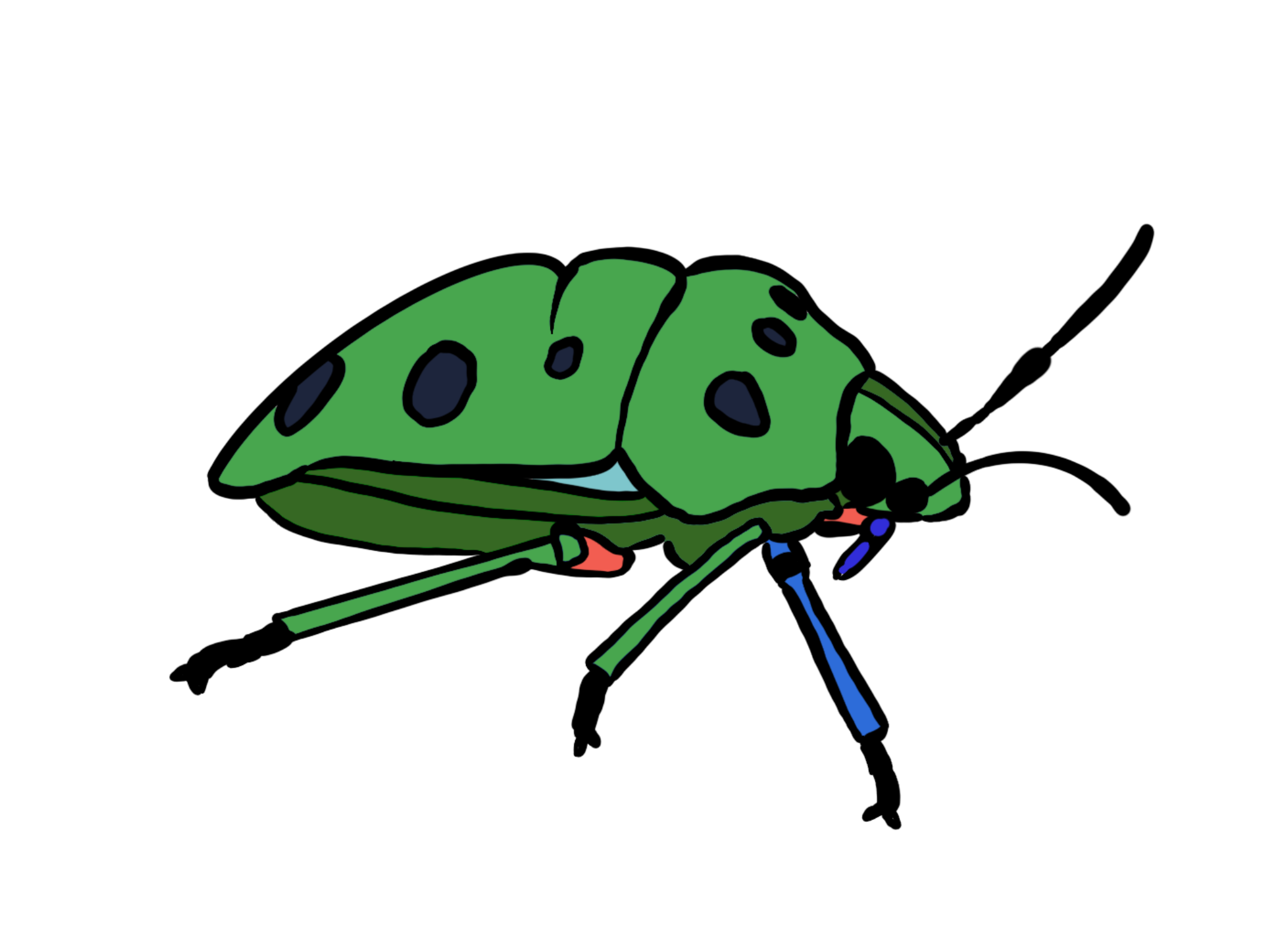 コンプリート カメムシ イラスト 2249 カメムシ イラスト 可愛い