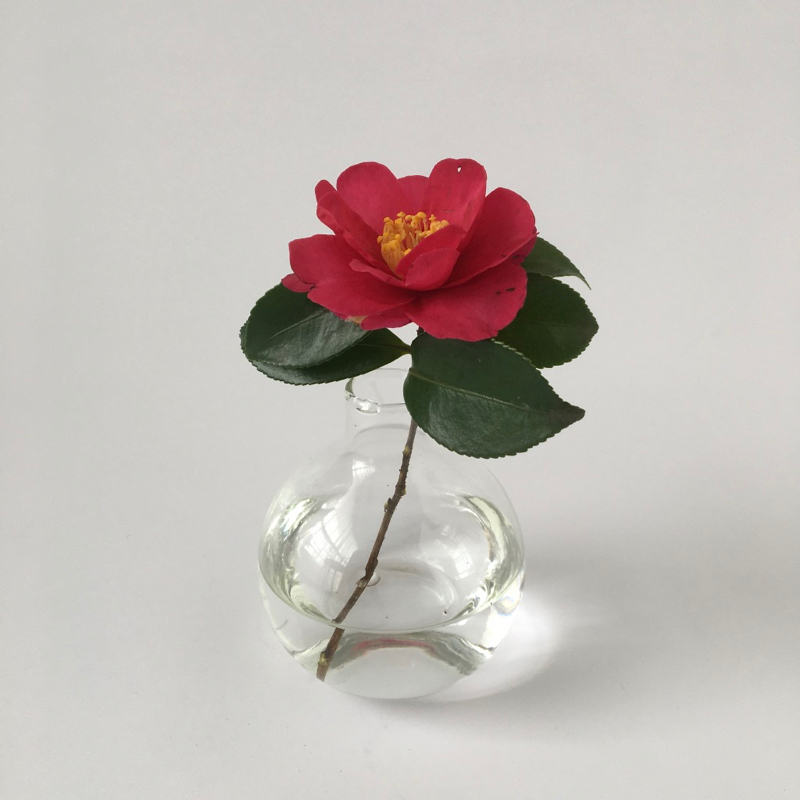 丸いガラスの花瓶 クリア Round Glass Flower Vase Clear Sensitivity And Boldness