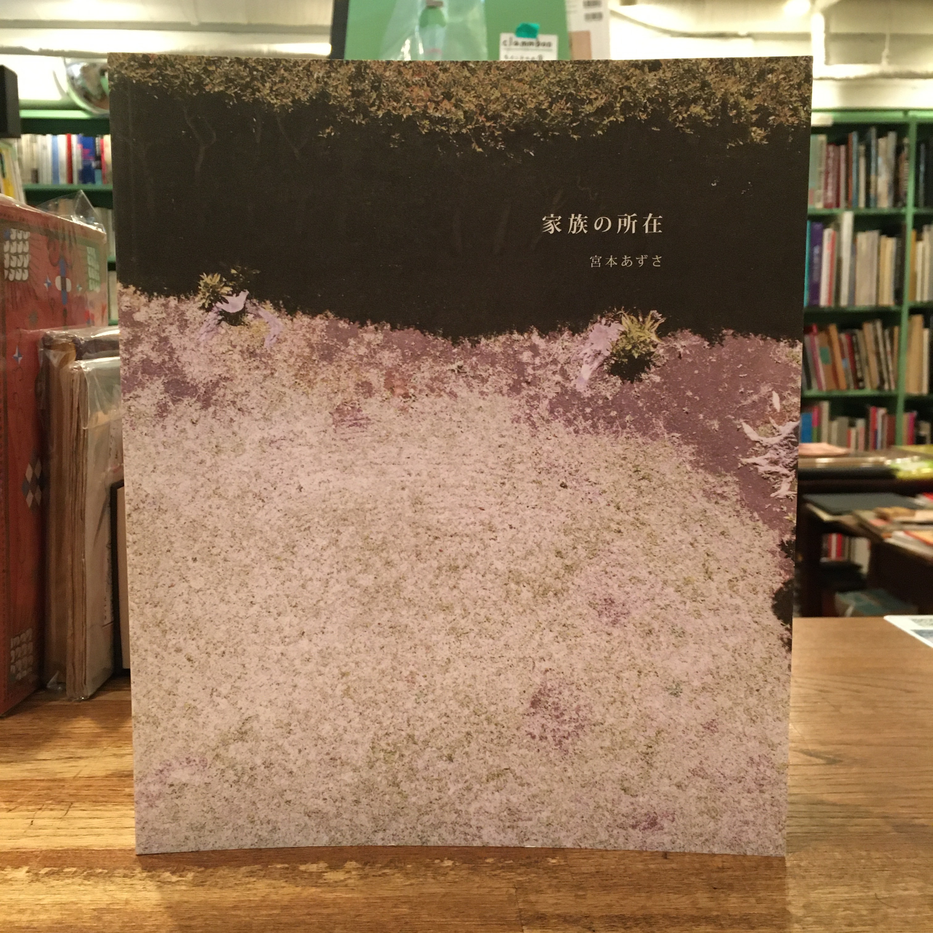 家族の所在 宮本あずさ 百年