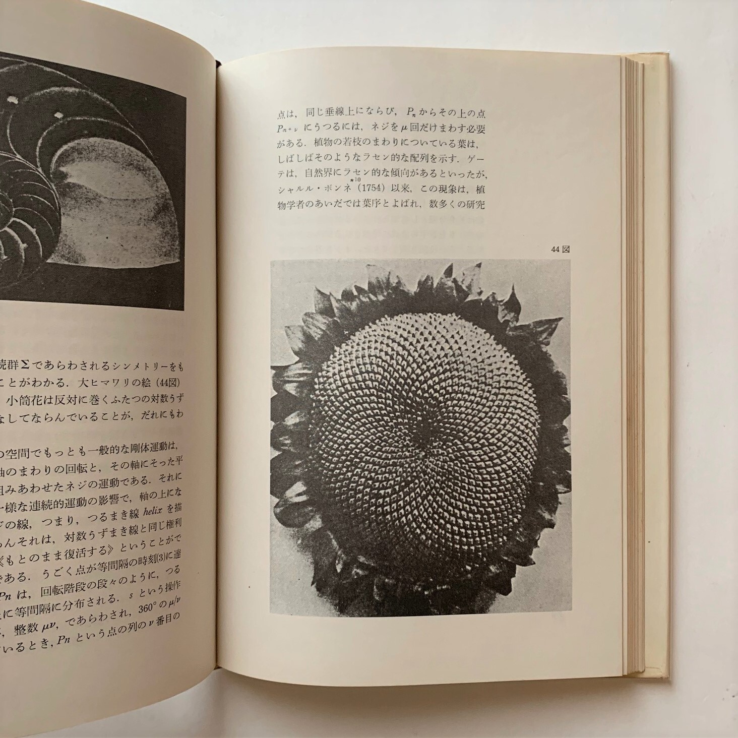 シンメトリー ヘルマン ヴァイル 著 本まるさんかくしかく