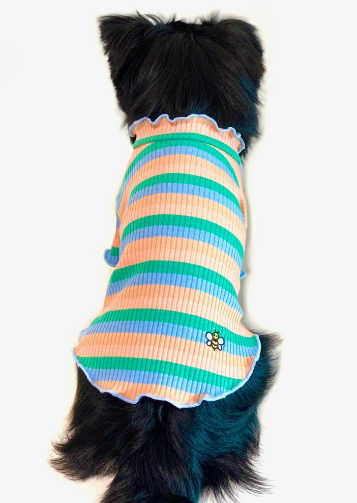 Bee Border T Orange Mix 犬服 人気 犬の服 おしゃれ ドッグウェア 小型犬 犬服ブランド Chicc ドッグウェアブランド