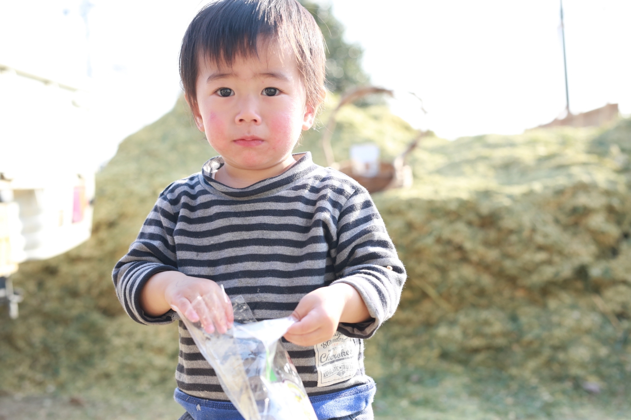 子どもも大好き 甜菜糖をつかった玄米ポン菓子 10ｇ Sundaysgood