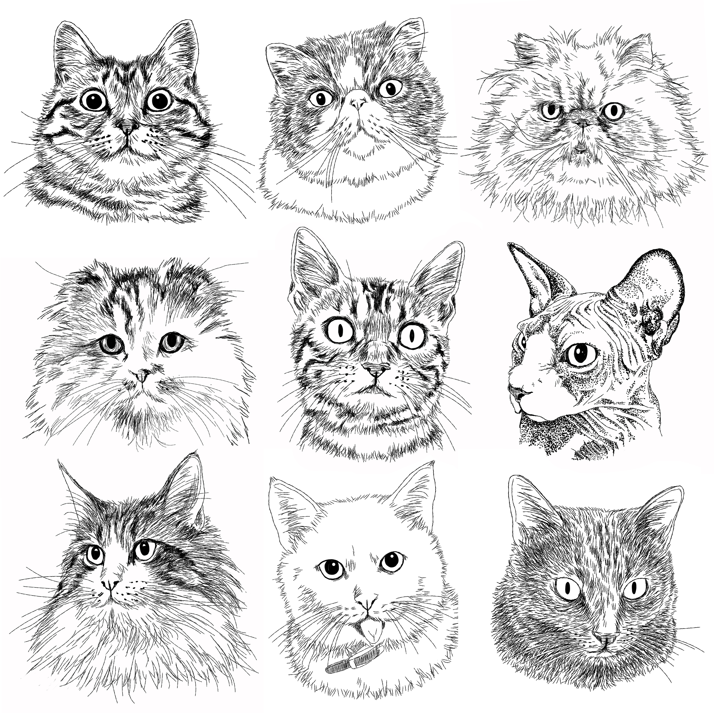 猫の手描きイラスト 似顔絵 白黒 作成 顔のみ 動物 人間可 猫雑貨 グッズ通販 猫や動物イラスト 似顔絵作成 365cat Art