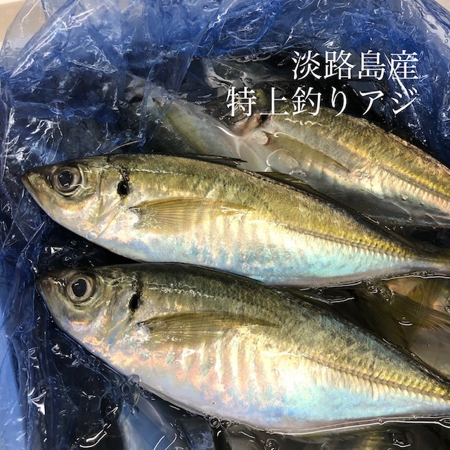 特上釣りアジ 淡路島産 1尾150 0gサイズ 計4尾 マアジ 鯵 淡路鯵4尾 冷蔵 Okawari 豊洲直送の高級海産物をお届け