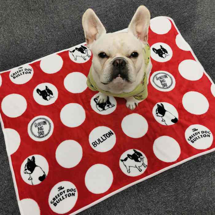 Km527gフレンチブルドッグ ぬくぬく ラグ タオルケット ひざ掛け フレブル Frenchbulldog 犬柄 Dearkm フレンチブルドック孔明