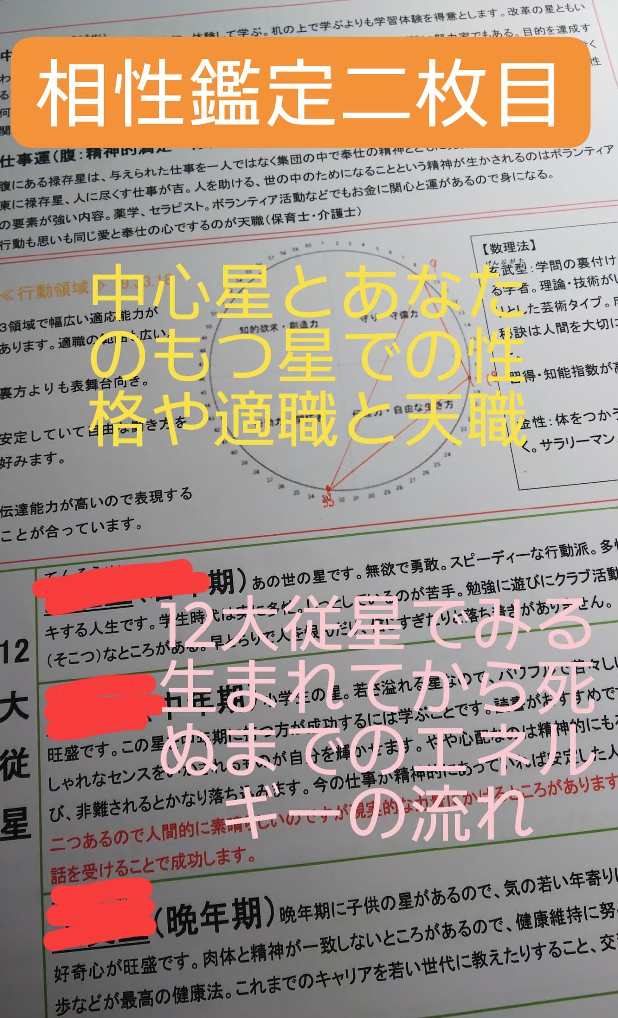 Sさま算命学zoom鑑定 ハルモニア