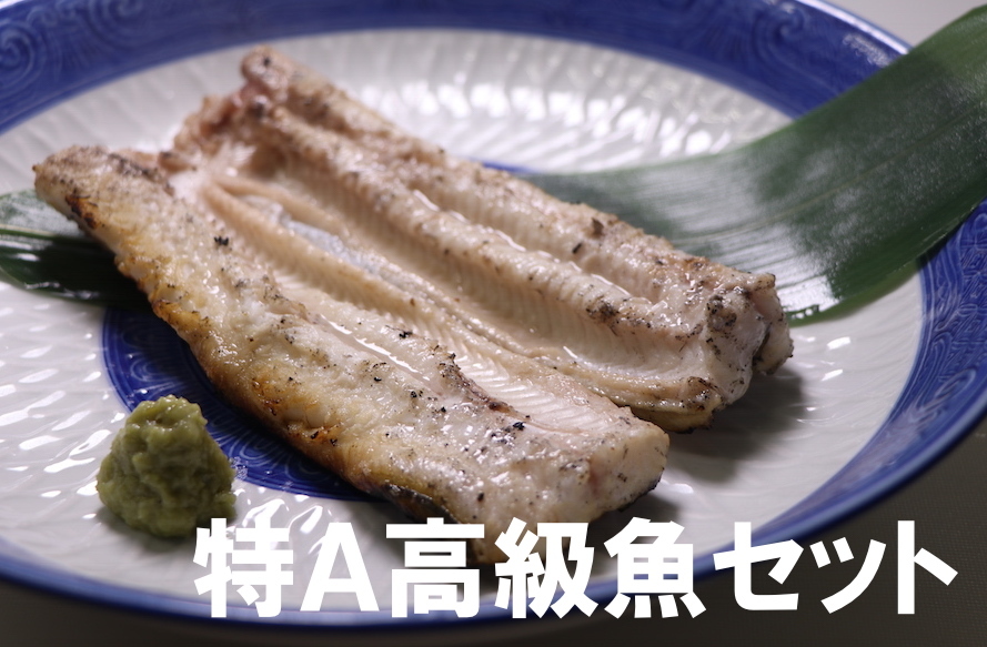 マグロの中トロと赤身 高級料亭からも絶賛の鮑 あなご 平目など贅を尽くした 特ａ高級魚セット 生の鮮魚屋 三陸 気仙沼 まぐろの目玉