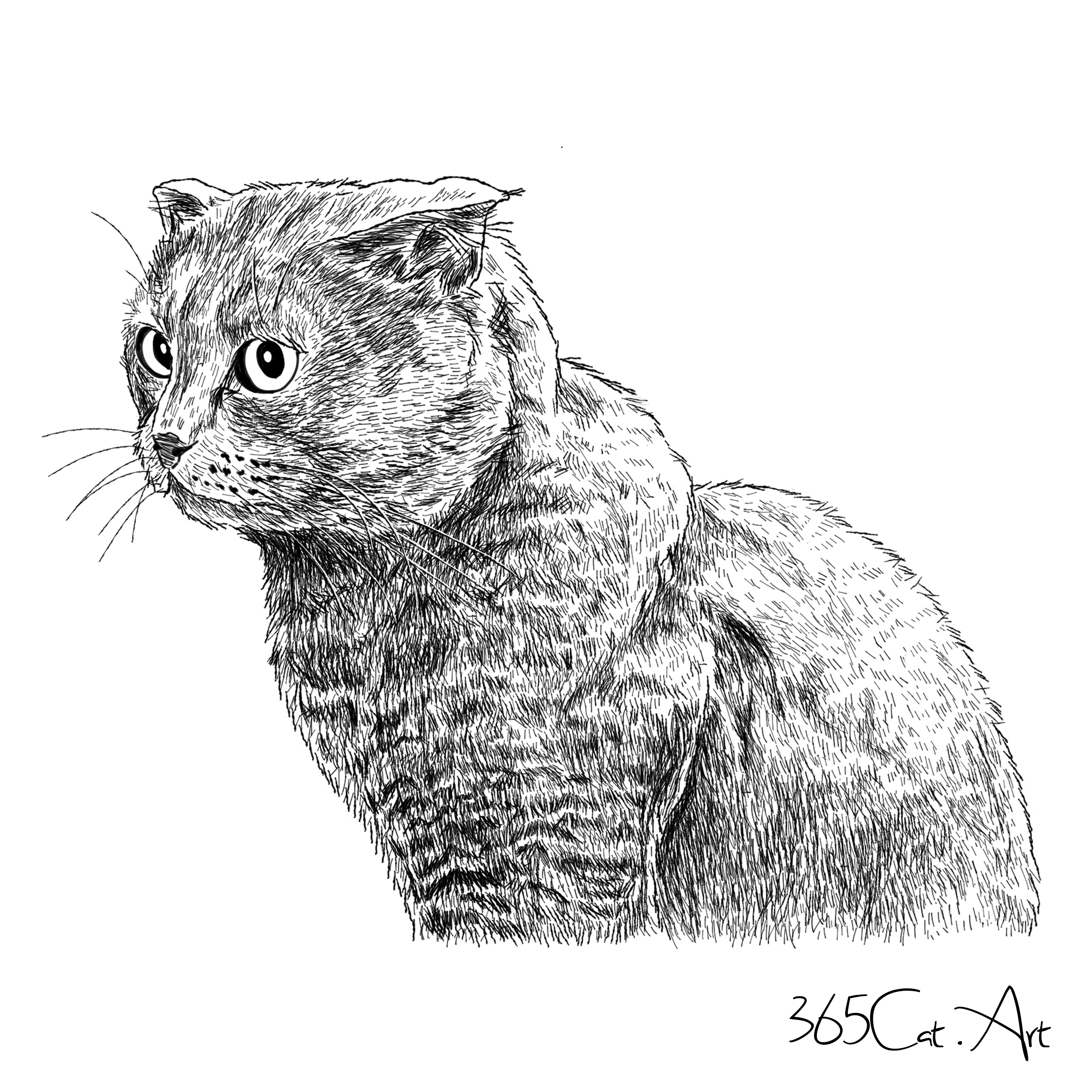 猫の手描きイラスト 似顔絵 白黒 作成 上半身 動物 人間可 猫雑貨 グッズ通販 猫や動物イラスト 似顔絵作成 365cat Art