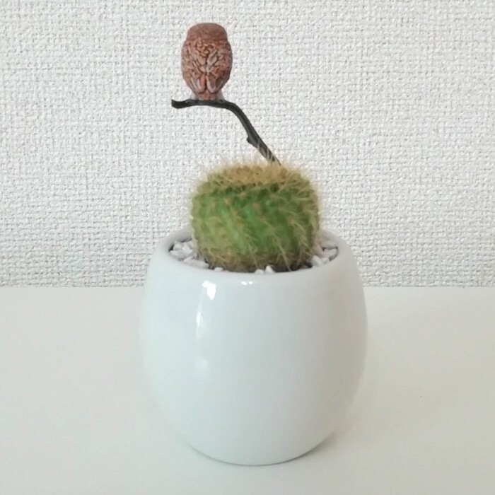 受注生産品 ふくろう丸サボテン1 Ca51 1 観葉植物 さぼてん カクタス インテリア グリーン ミニチュア かわいい 動物 フィギュア 三和ポチット